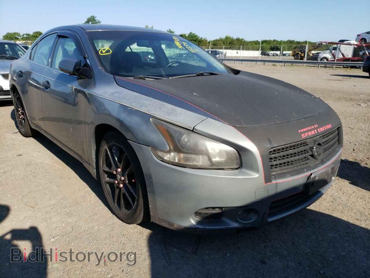 Фотография 1N4AA5AP4BC855558 - NISSAN MAXIMA 2011