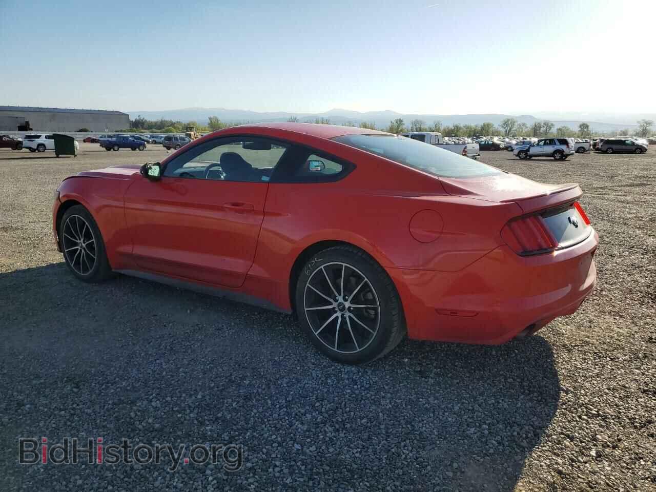 2017 FORD ALL Models - VIN: 1FA6P8TH9H5247768 - Фото 2