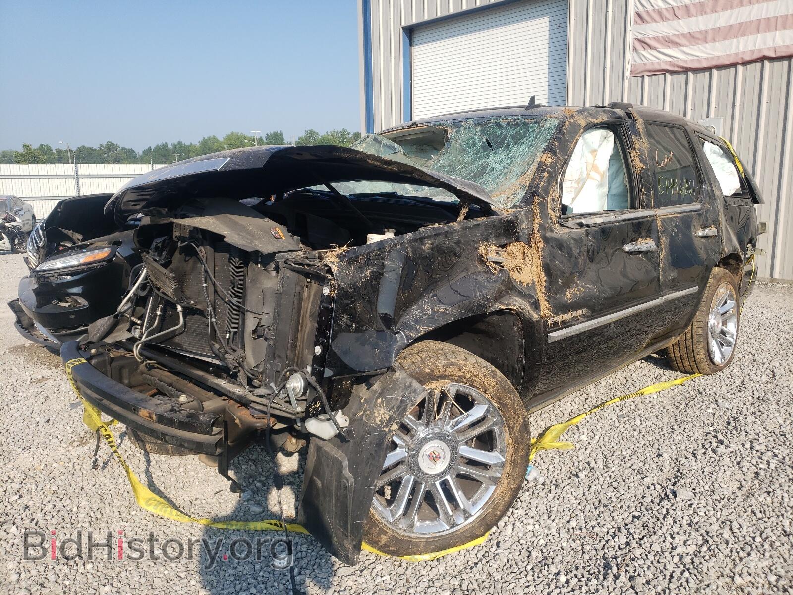 2013 CADILLAC ESCALADE - VIN: 1GYS4DEF1DR249050 - Фото 2