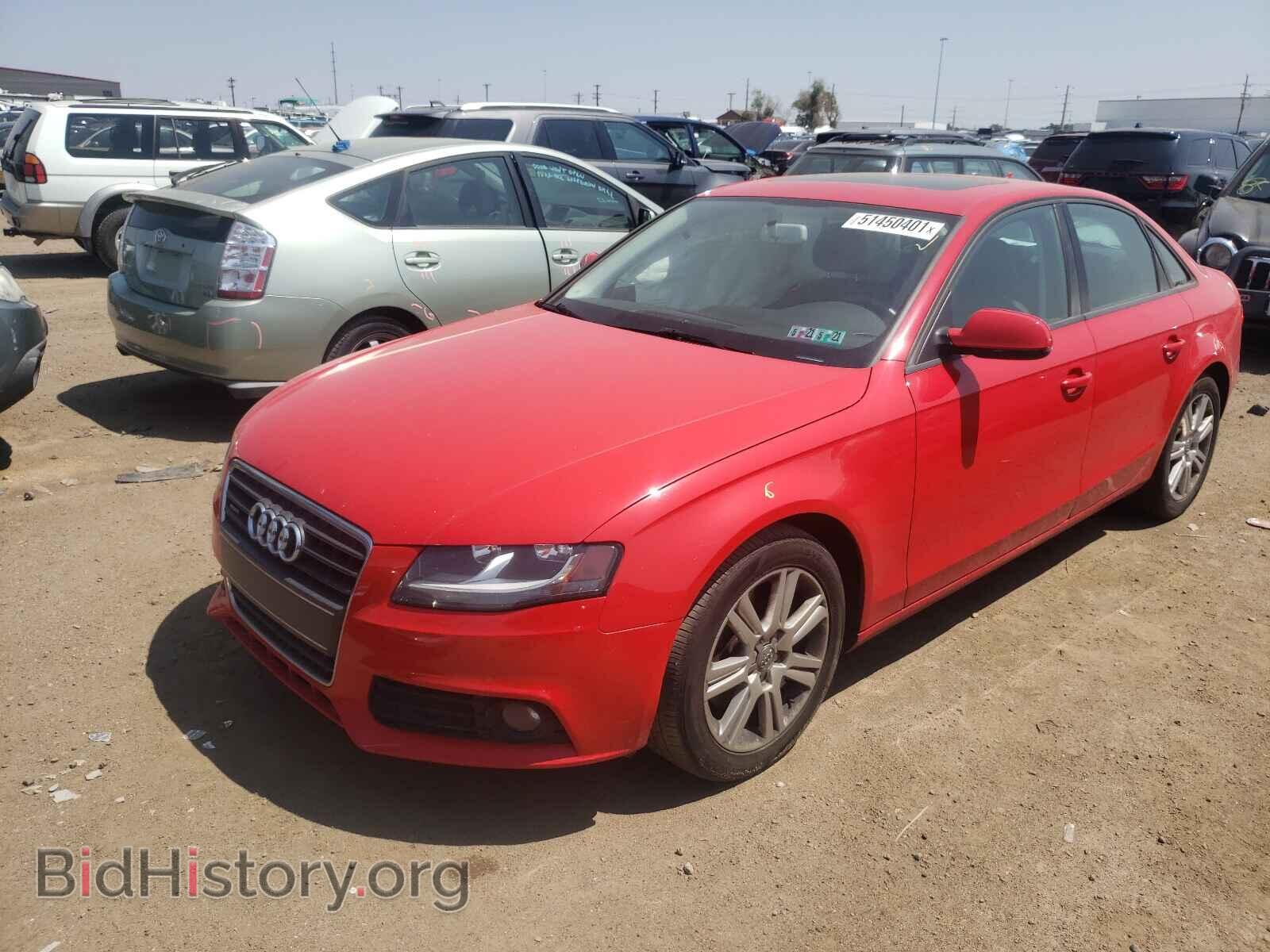 2010 AUDI A4 - VIN: WAUDFAFL8AN022207 - Фото 2