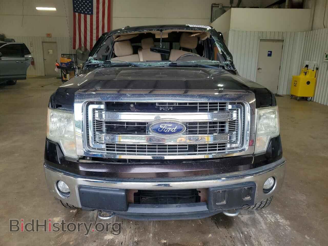 2013 FORD F150 - VIN: 1FTFX1ET2DFA53252 - Фото 5