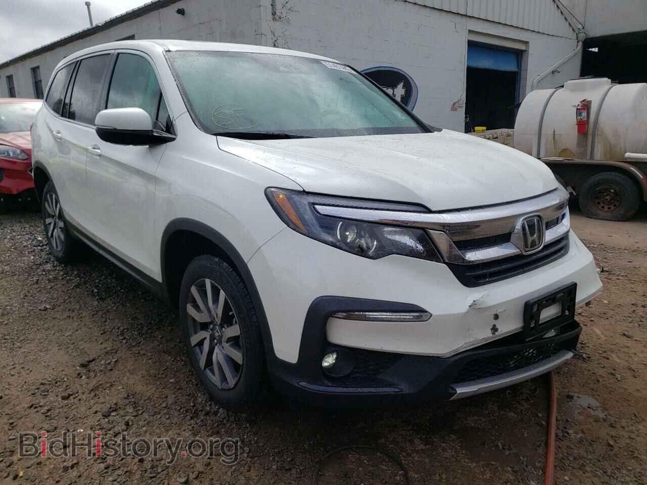 Фотография 5FNYF6H58KB058432 - HONDA PILOT 2019