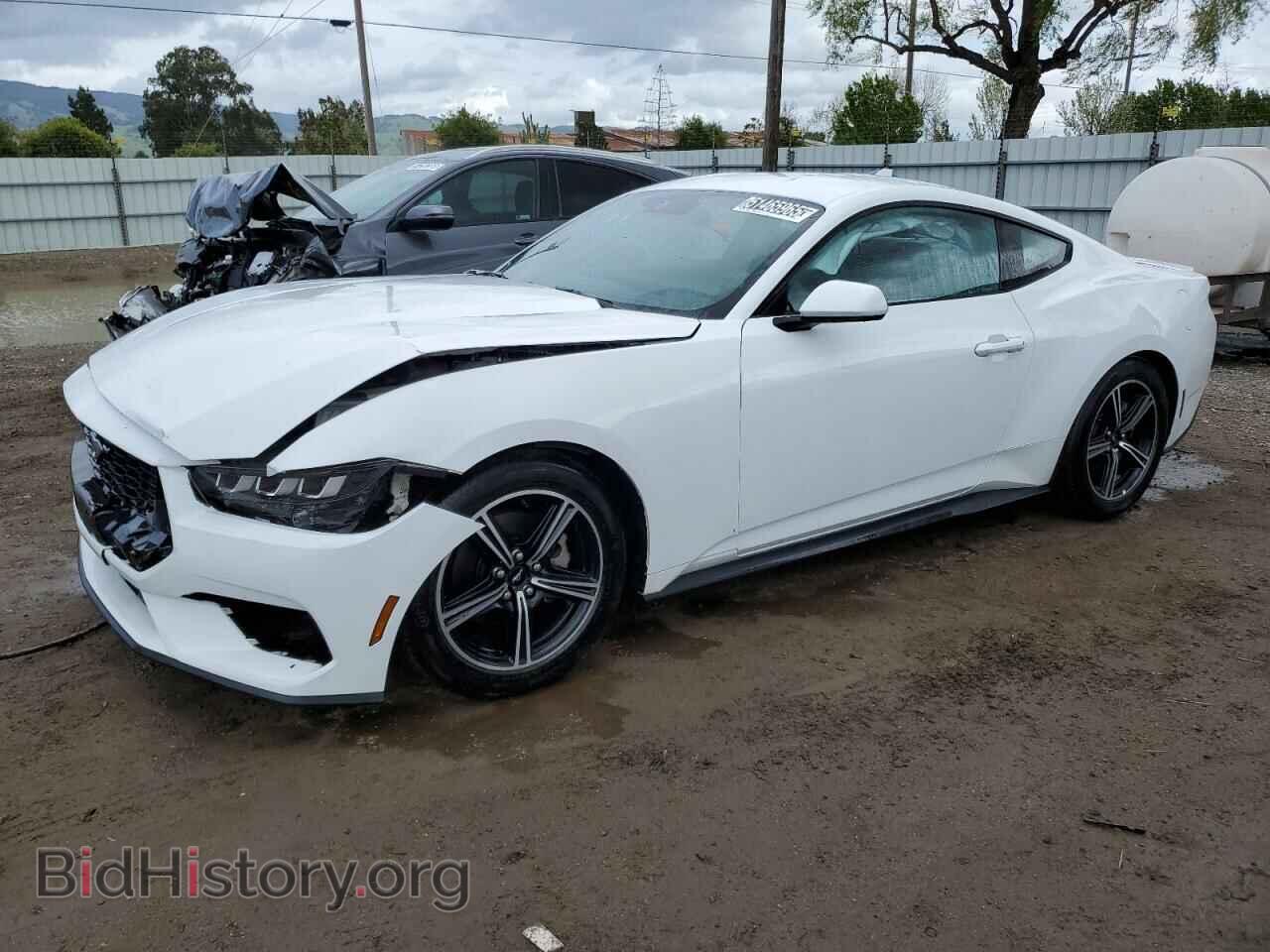 Photo 1FA6P8TH7R5117070 - FORD ALL Models 2024