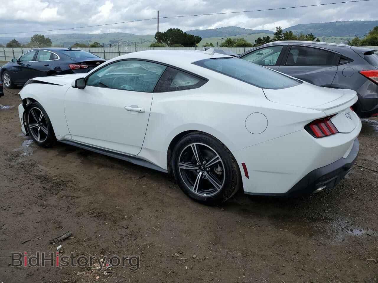 2024 FORD ALL Models - VIN: 1FA6P8TH7R5117070 - Photo 2