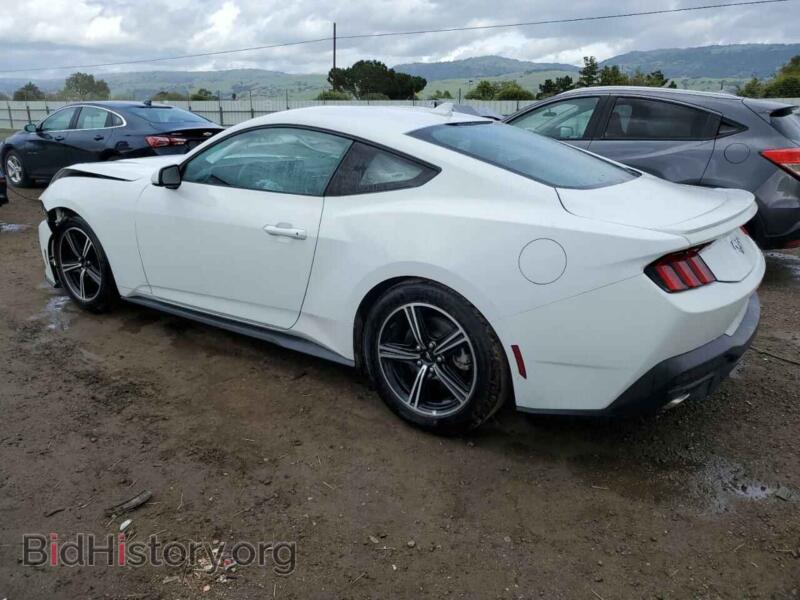 2024 Ford ALL MODELS (VIN 1FA6P8TH7R5117070) — photo 2 of 14