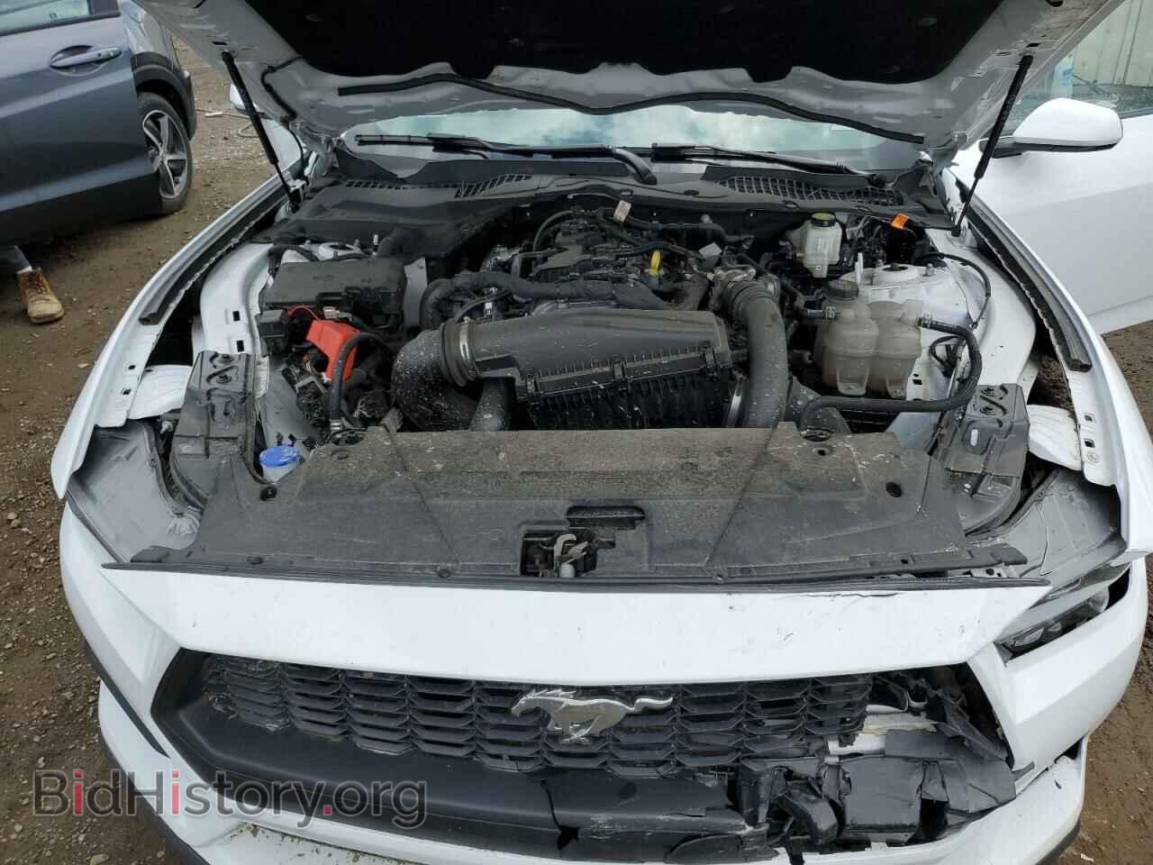 2024 FORD ALL Models - VIN: 1FA6P8TH7R5117070 - Photo 11