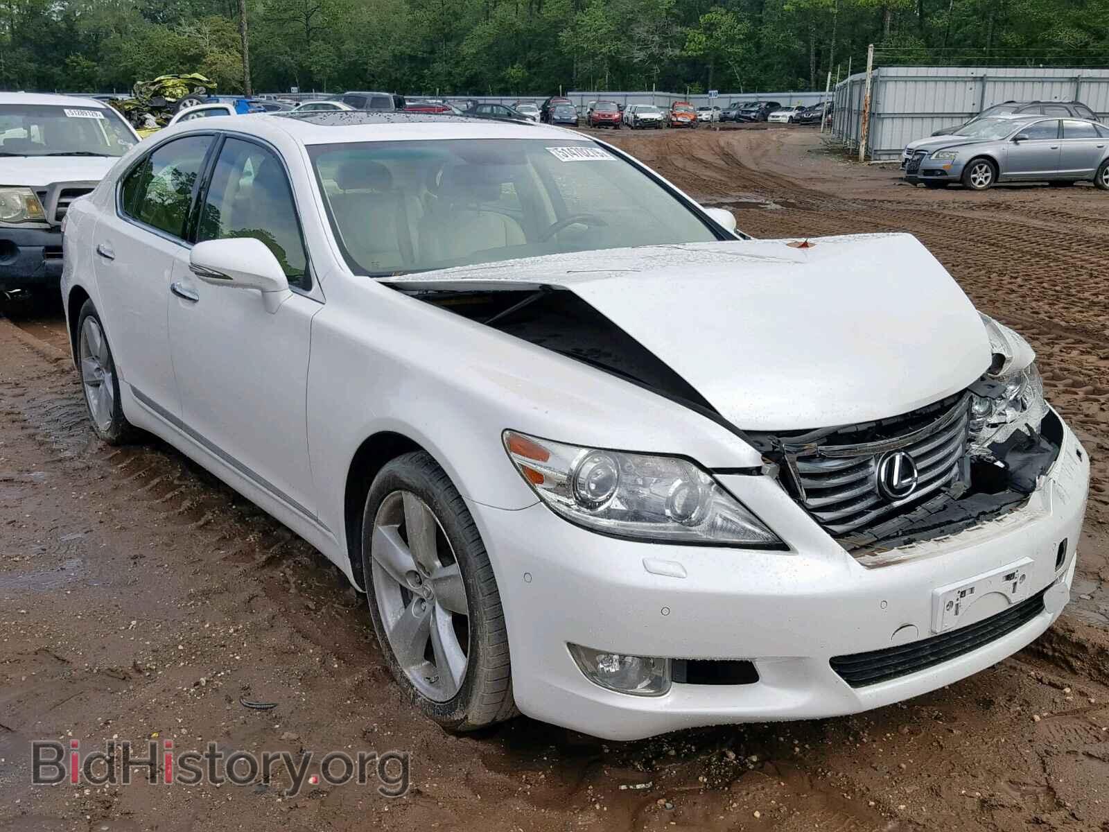 Фотография JTHBL5EF8C5111282 - LEXUS LS460 2012