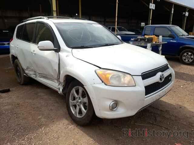 Фотография 2T3YK4DV5AW008666 - TOYOTA RAV4 2010