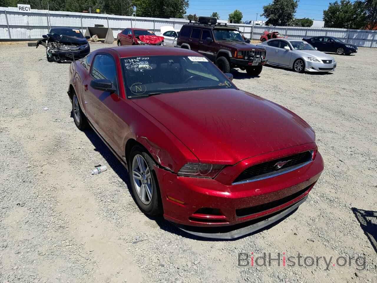 Photo 1ZVBP8AM9E5333793 - FORD MUSTANG 2014