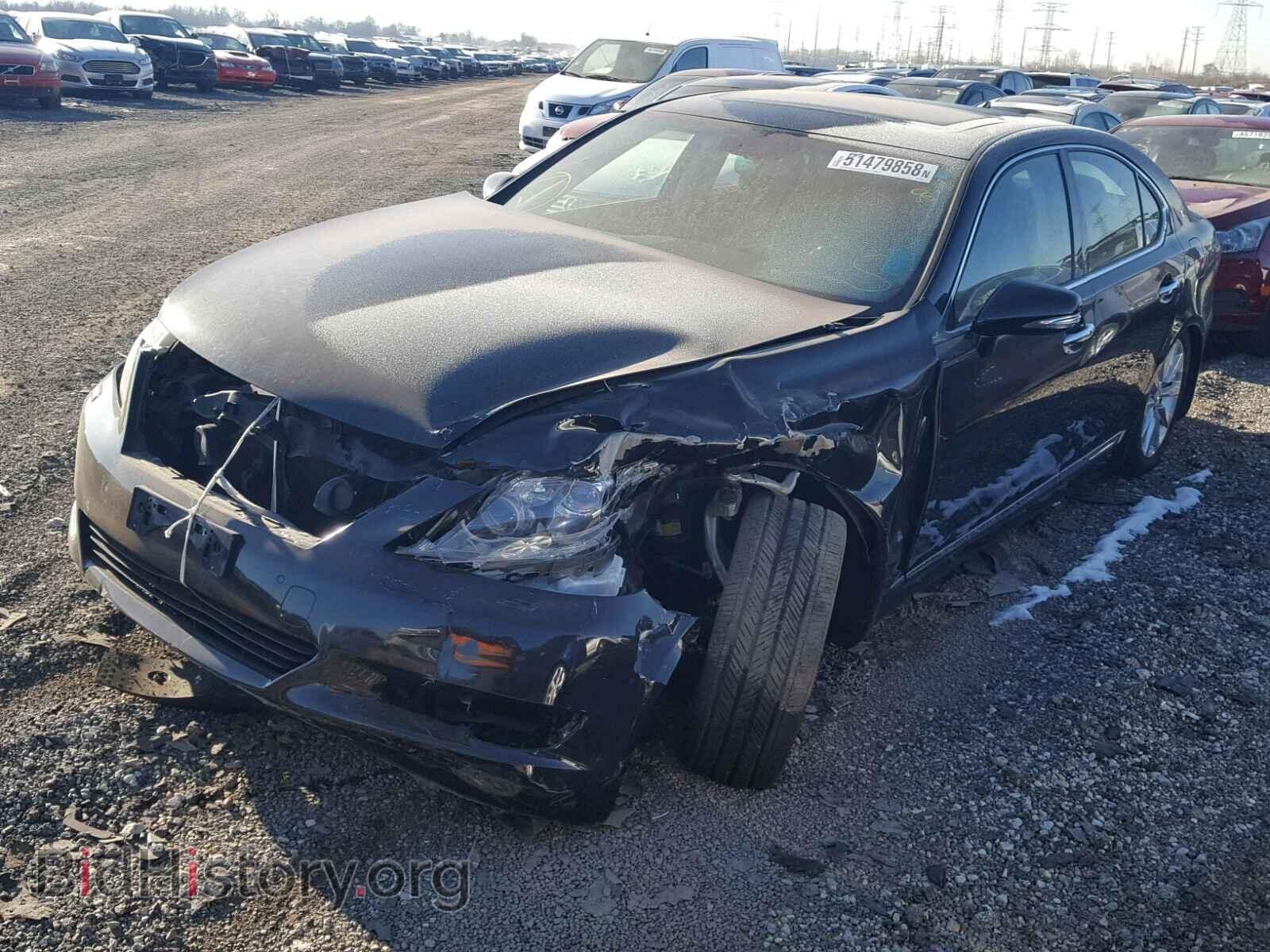2010 LEXUS LS460 - VIN: JTHCL5EFXA5005336 - Фото 2
