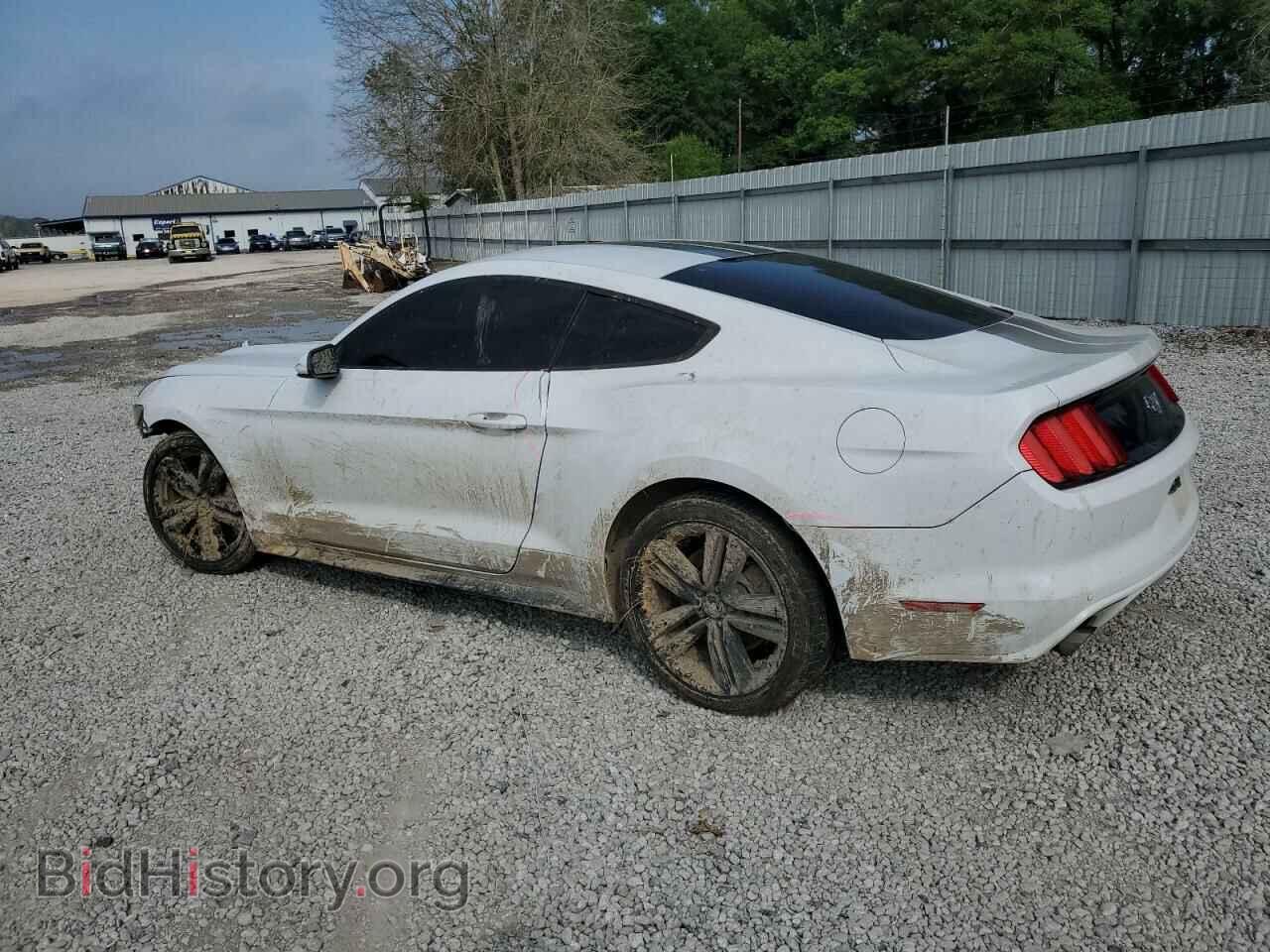 2017 FORD ALL Models - VIN: 1FA6P8TH0H5212410 - Фото 2