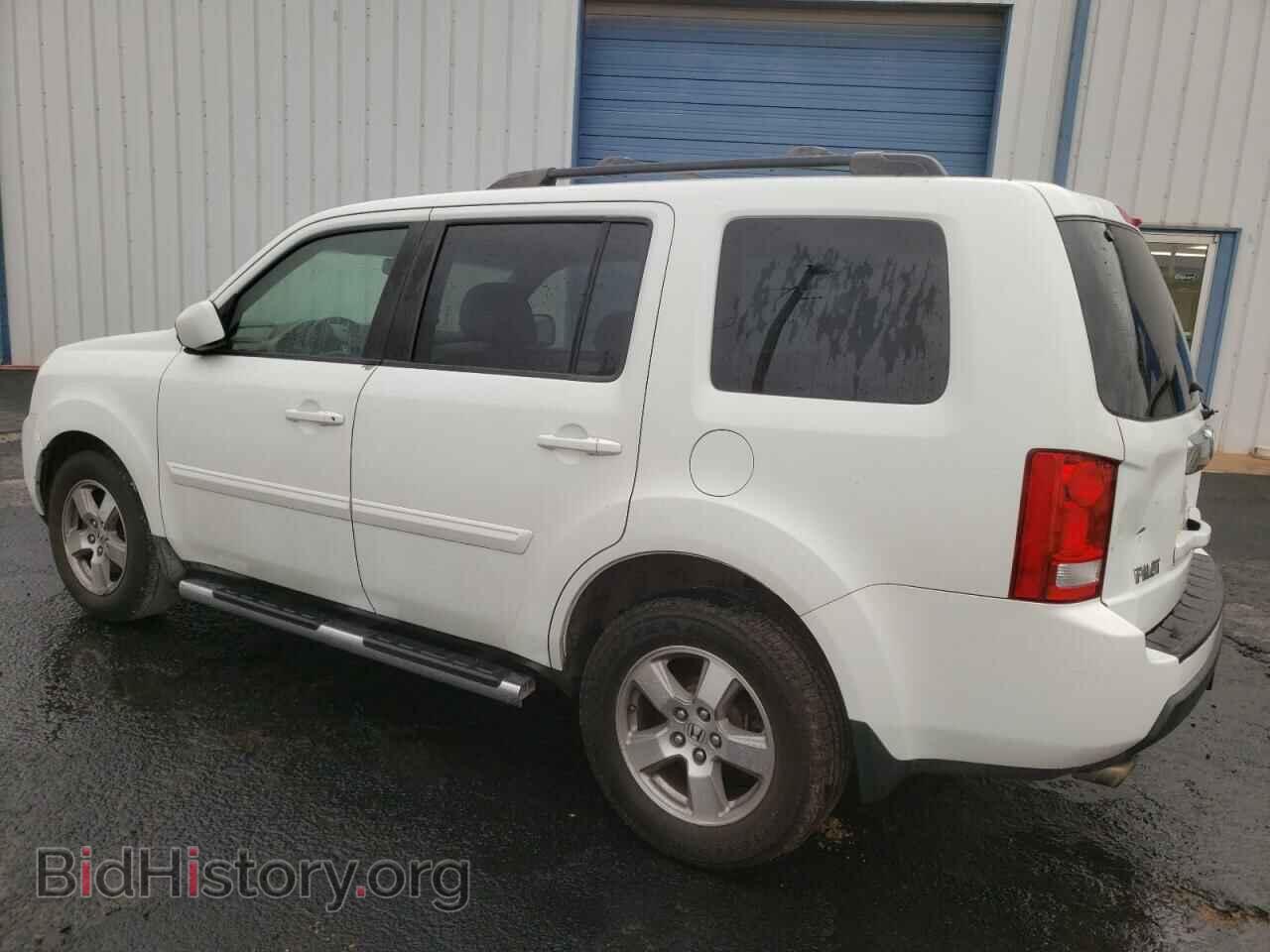 2009 HONDA PILOT - VIN: 5FNYF38629B025170 - Фото 2