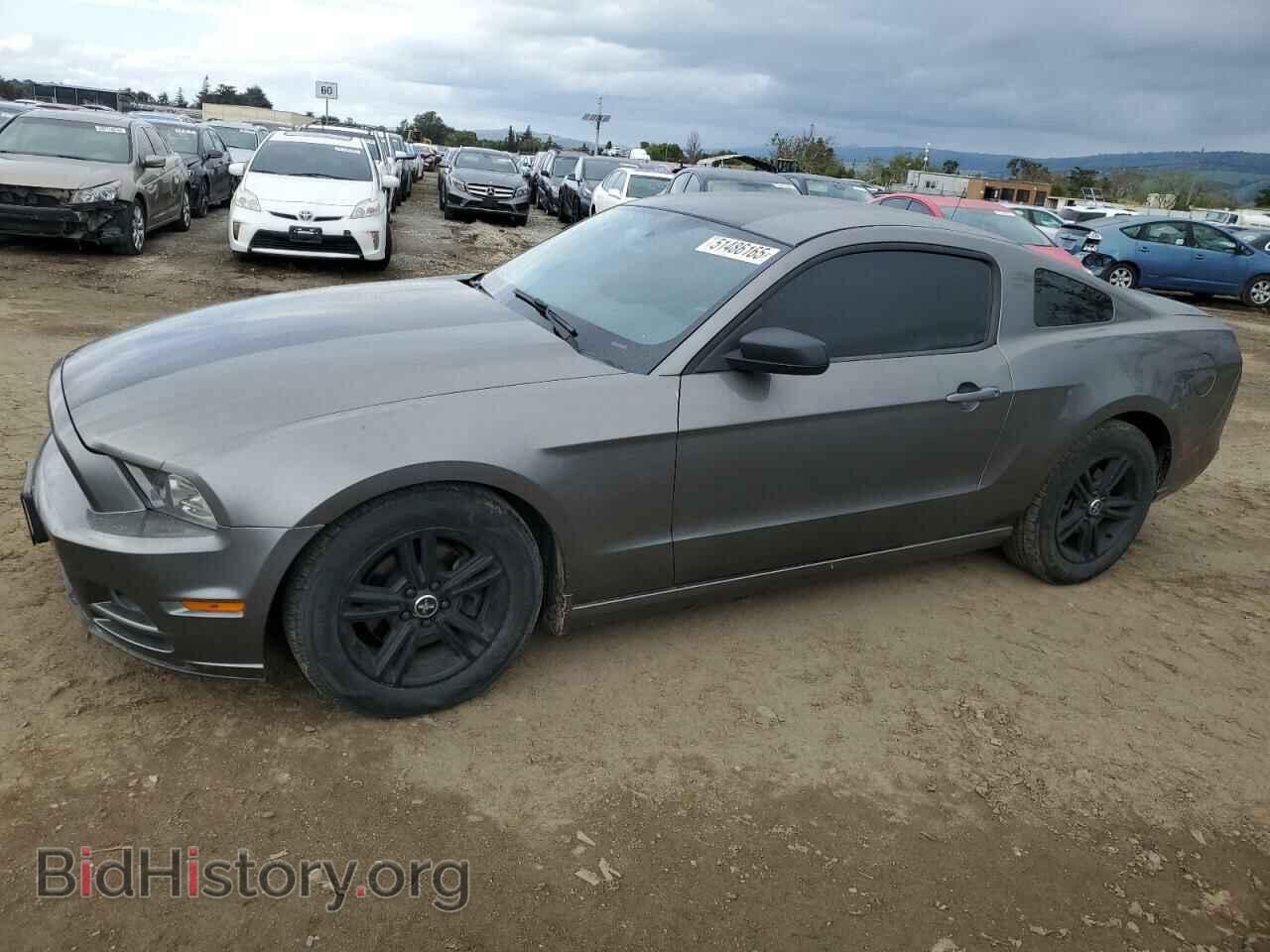 Photo 1ZVBP8AM6D5255391 - FORD ALL Models 2013