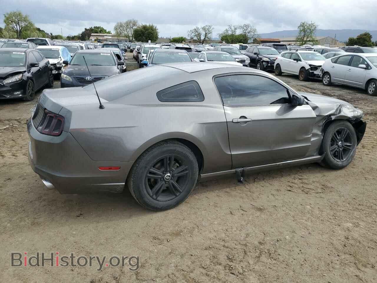 2013 FORD ALL Models - VIN: 1ZVBP8AM6D5255391 - Фото 3