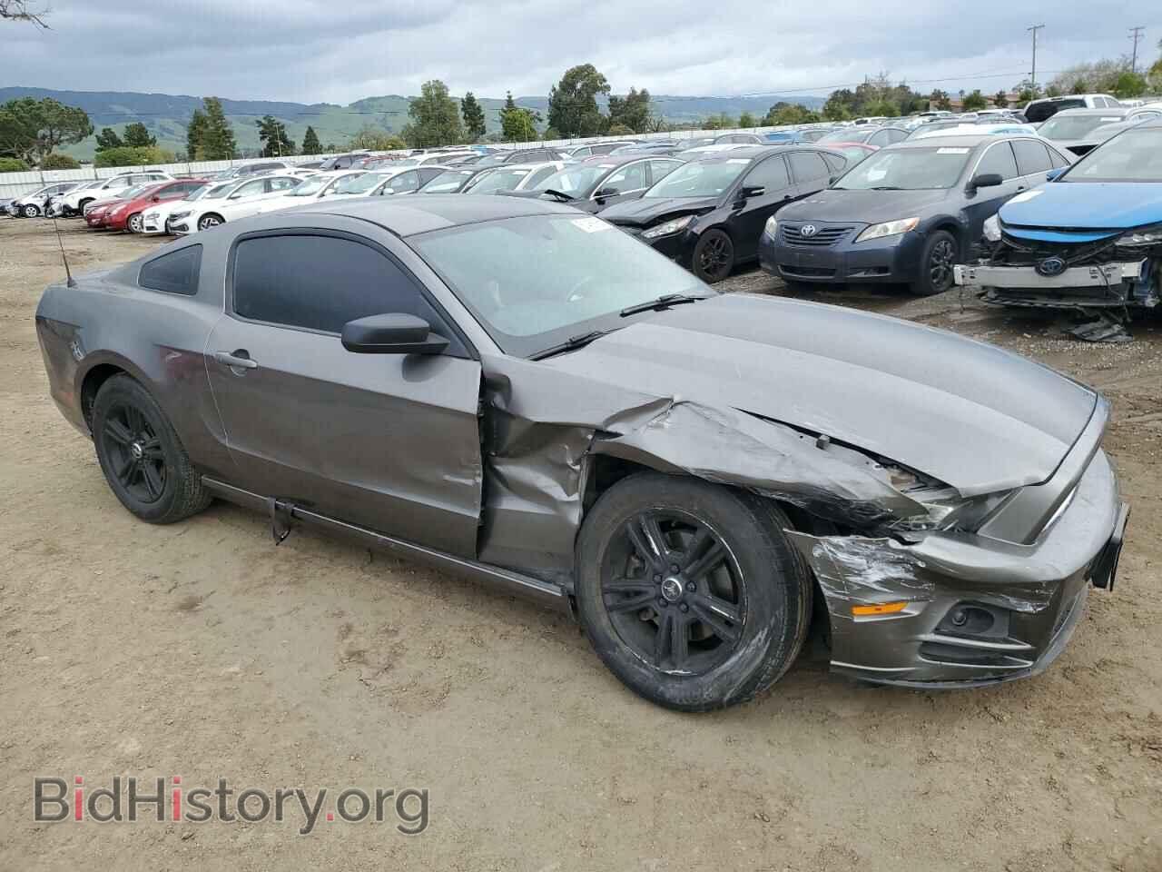 2013 FORD ALL Models - VIN: 1ZVBP8AM6D5255391 - Фото 4
