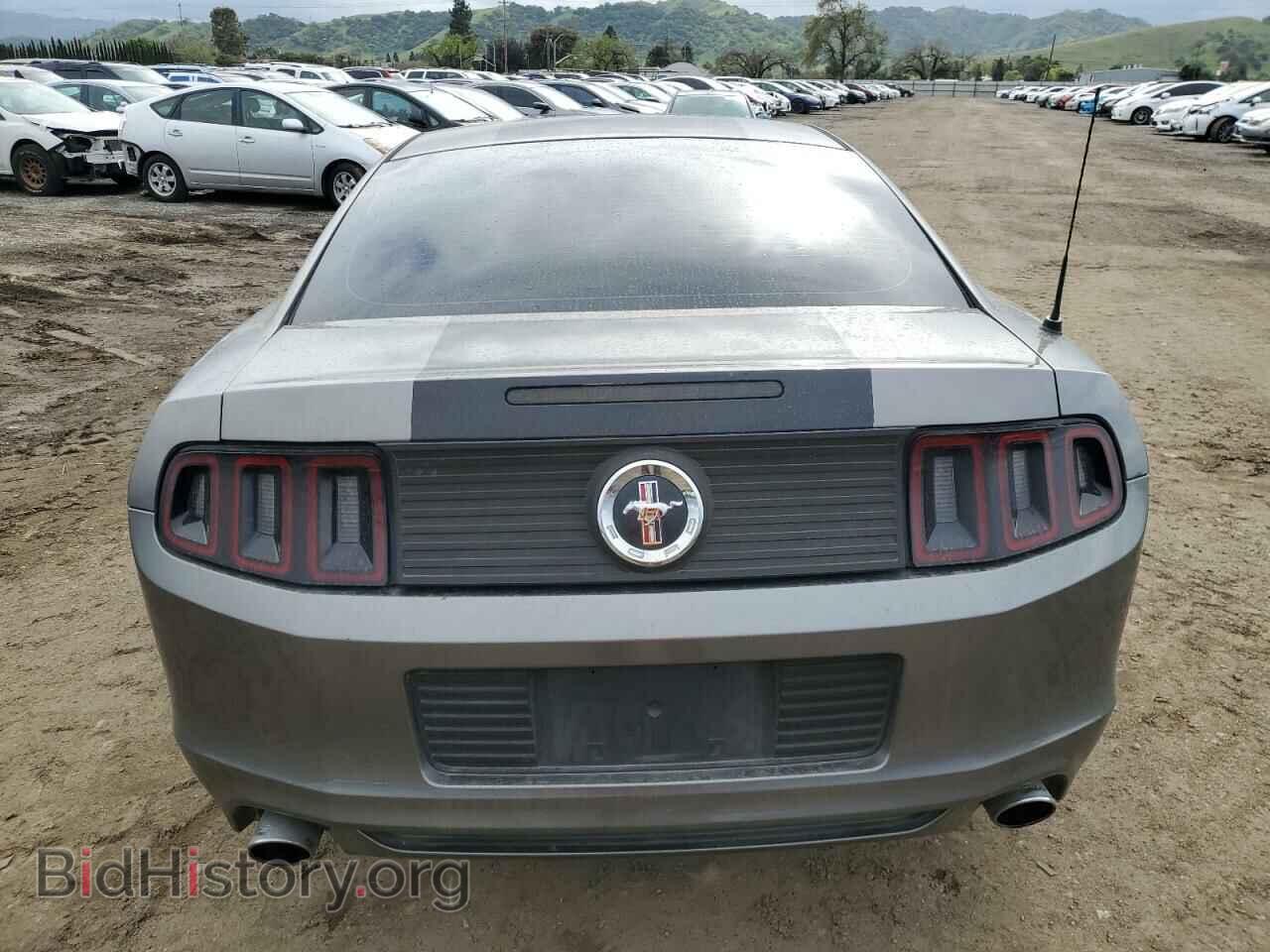 2013 FORD ALL Models - VIN: 1ZVBP8AM6D5255391 - Фото 6