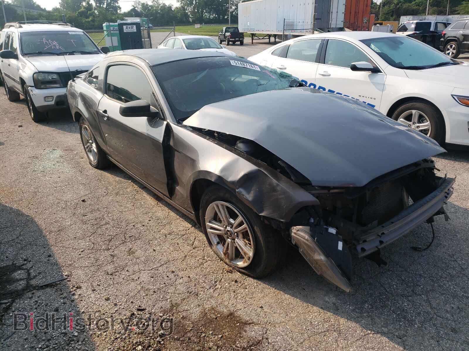Photo 1ZVBP8AM3E5308632 - FORD MUSTANG 2014