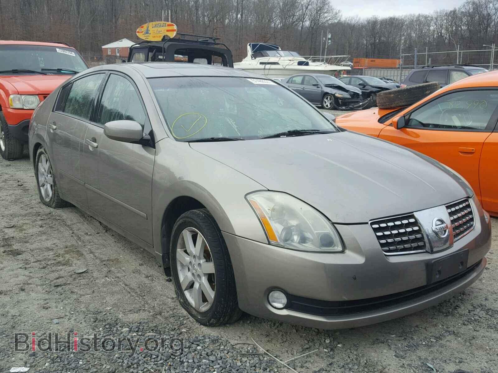Photo 1N4BA41E66C823732 - NISSAN MAXIMA 2006