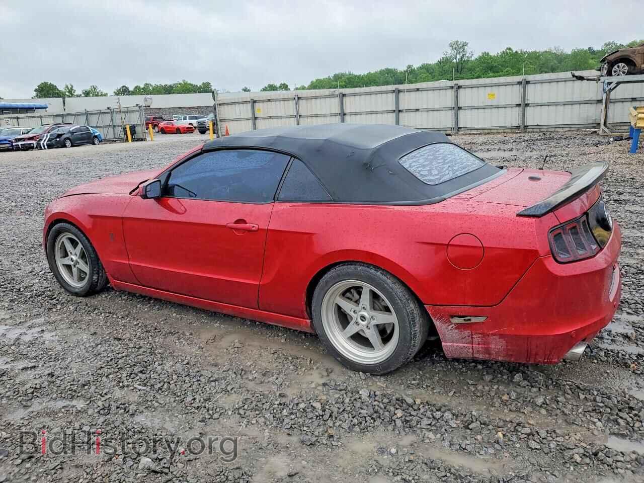 2013 FORD MUSTANG - VIN: 1ZVBP8EM8D5225836 - Фото 2