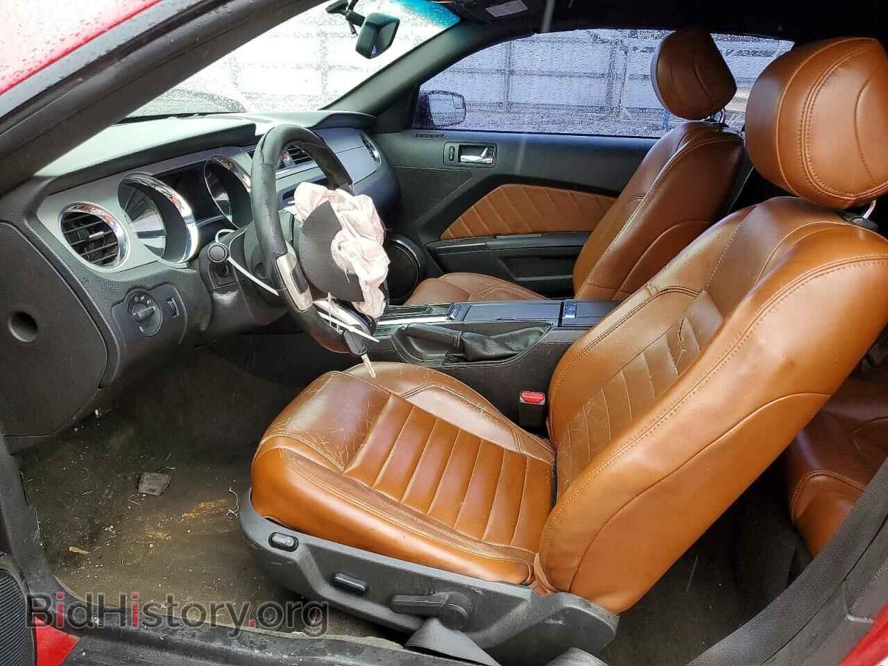 2013 FORD MUSTANG - VIN: 1ZVBP8EM8D5225836 - Фото 7
