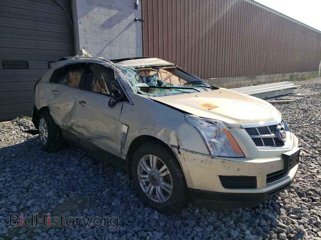 Фотография 3GYFNAE30CS531100 - CADILLAC SRX 2012