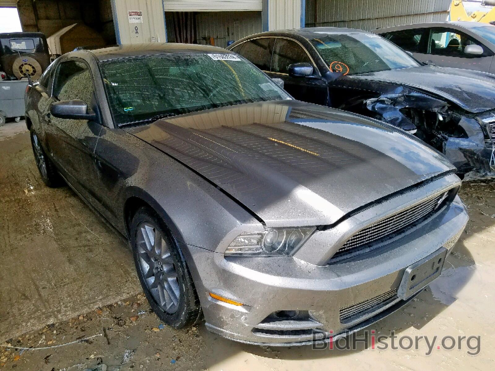 Photo 1ZVBP8AM8D5259099 - FORD MUSTANG 2013
