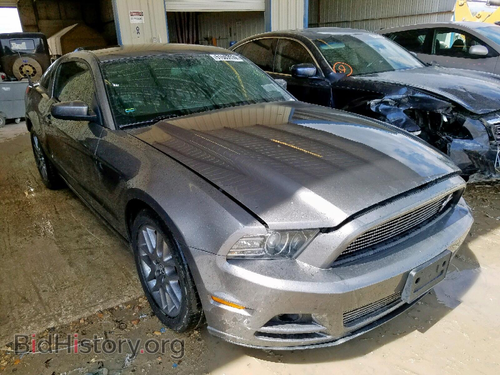 Фотография 1ZVBP8AM8D5259099 - FORD MUSTANG 2013