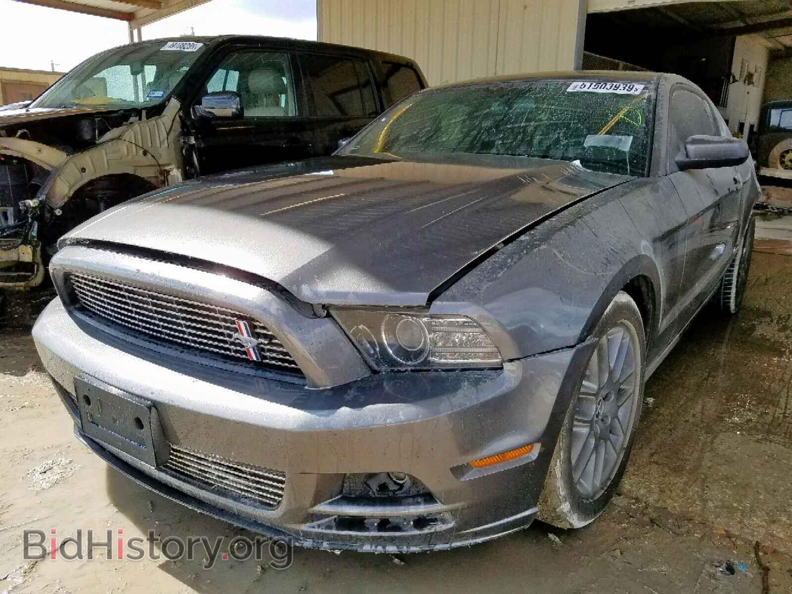 2013 FORD MUSTANG - VIN: 1ZVBP8AM8D5259099 - Фото 2
