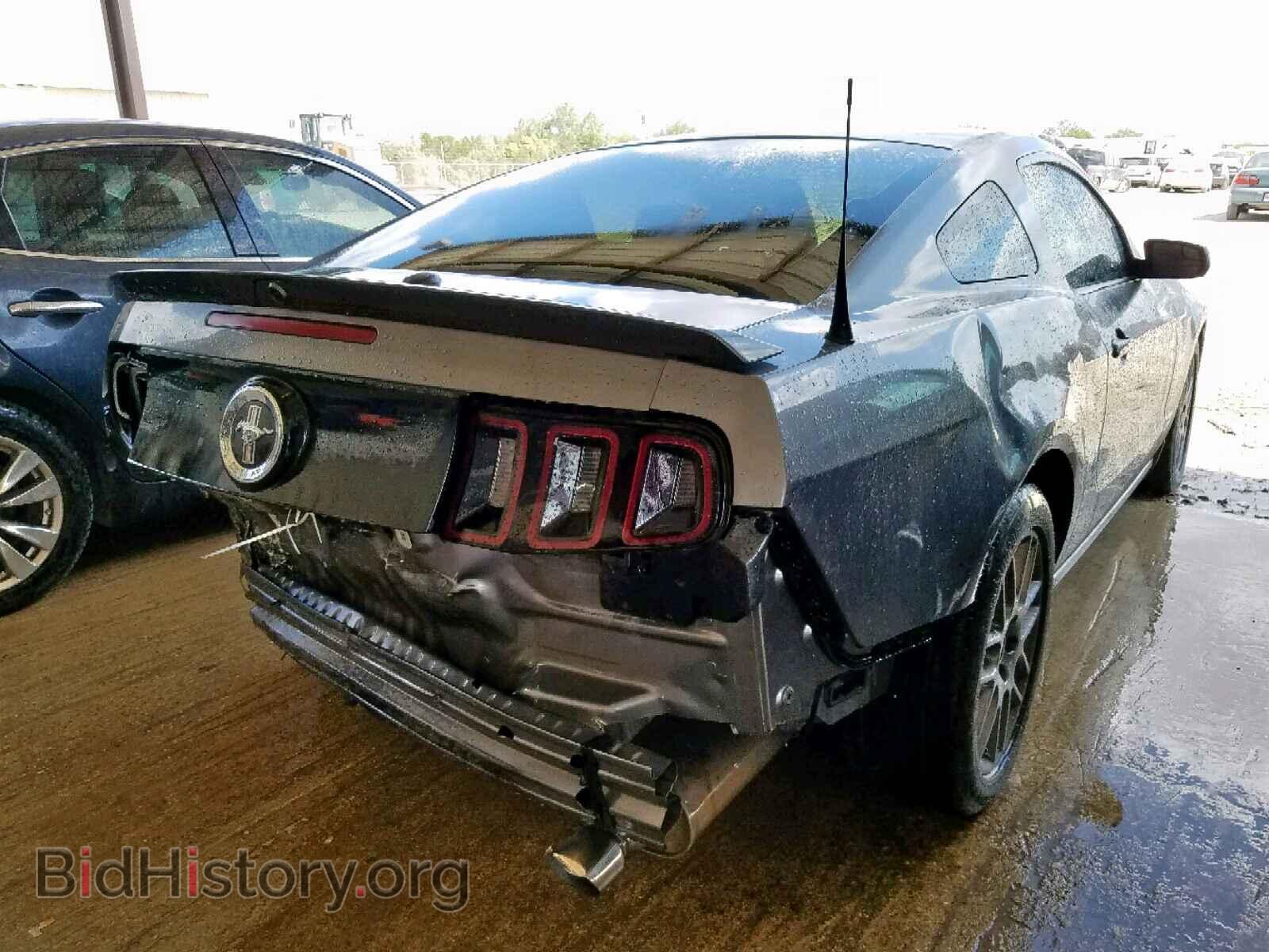 2013 FORD MUSTANG - VIN: 1ZVBP8AM8D5259099 - Фото 4