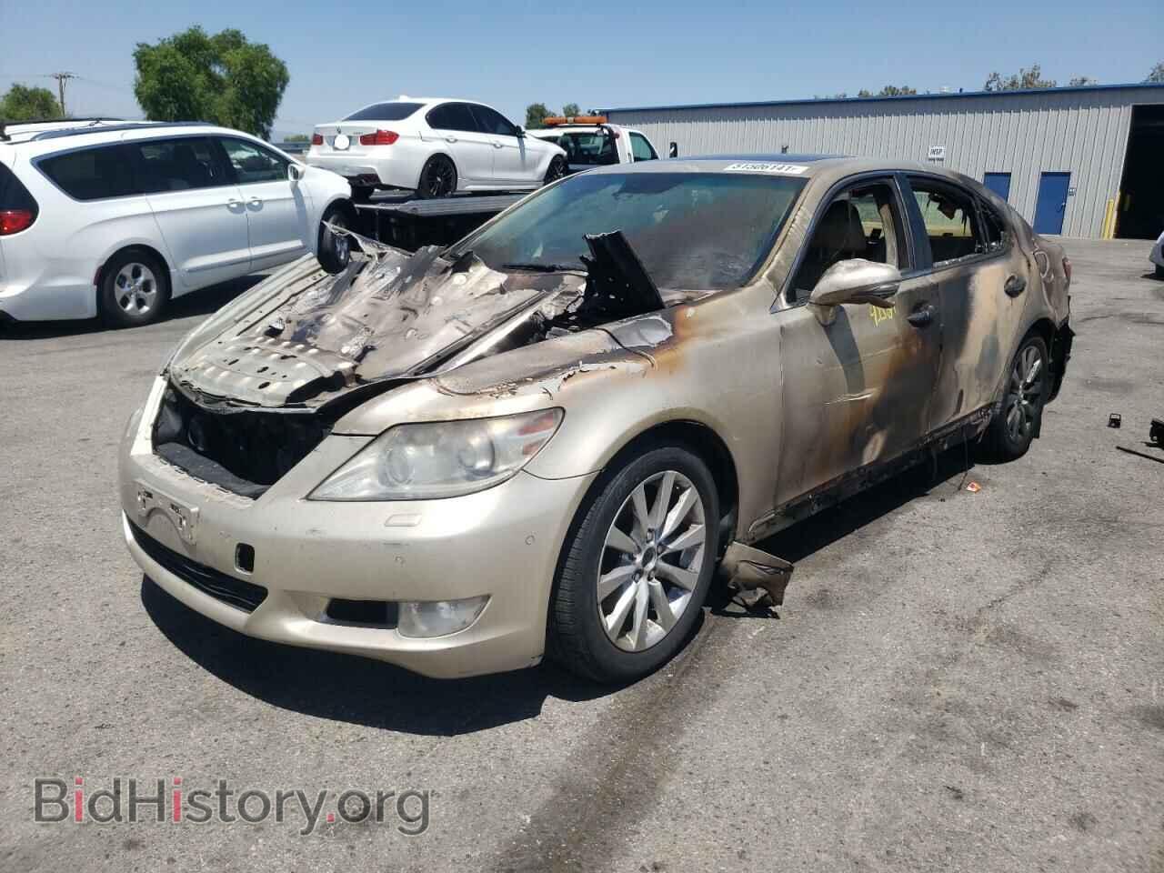 2010 LEXUS LS460 - VIN: JTHBL5EF9A5095526 - Фото 2
