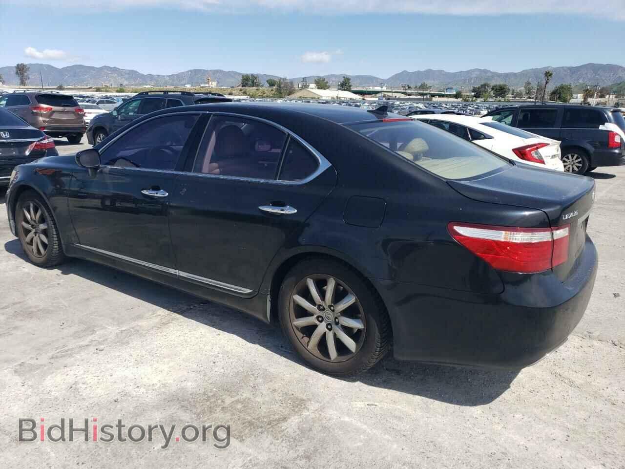 2009 LEXUS LS460 - VIN: JTHBL46F095087965 - Photo 2