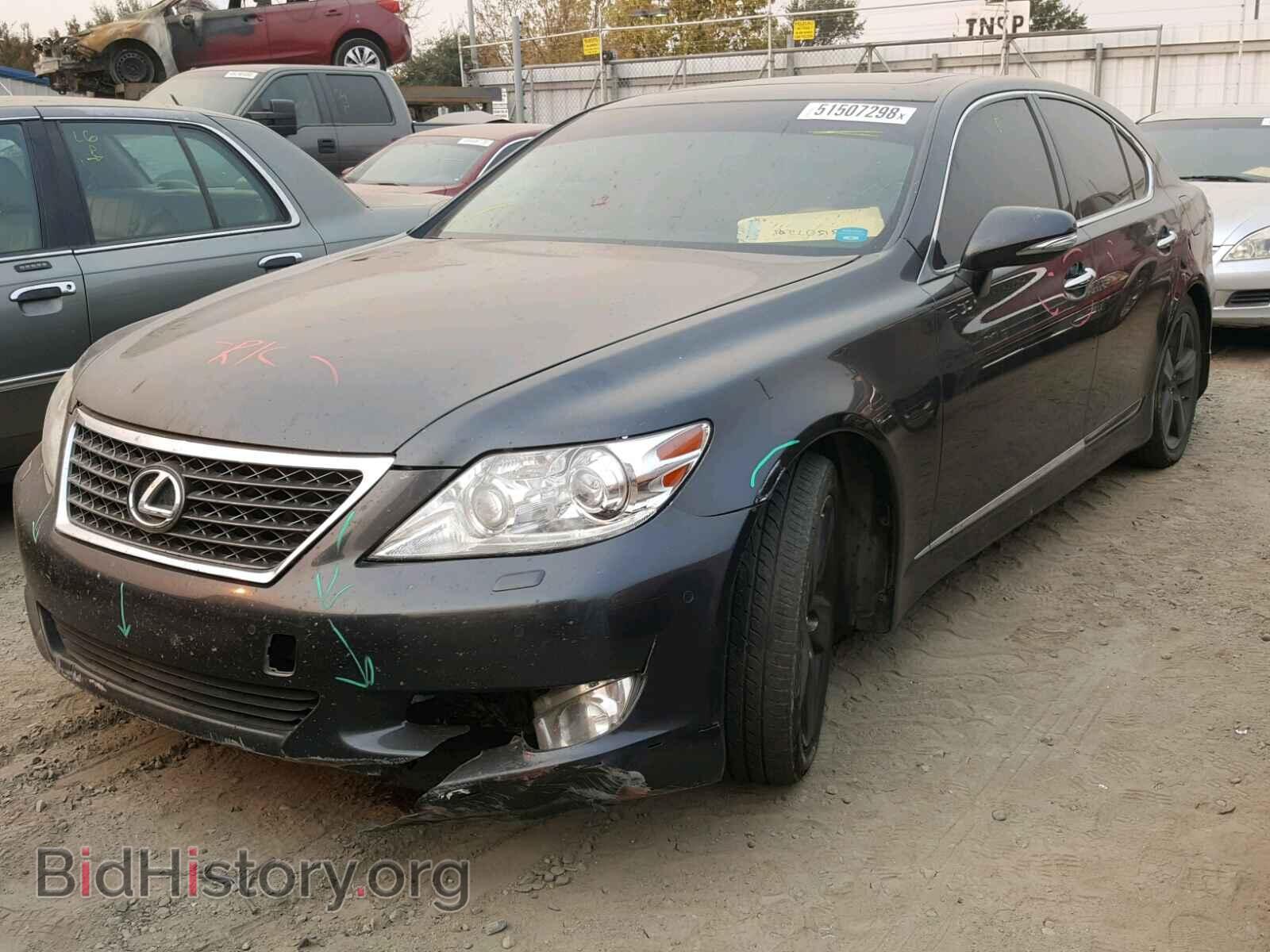 2011 LEXUS LS460 - VIN: JTHBL5EF1B5107038 - Фото 2