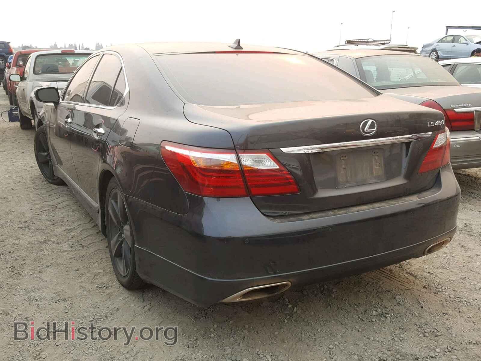 2011 LEXUS LS460 - VIN: JTHBL5EF1B5107038 - Фото 3