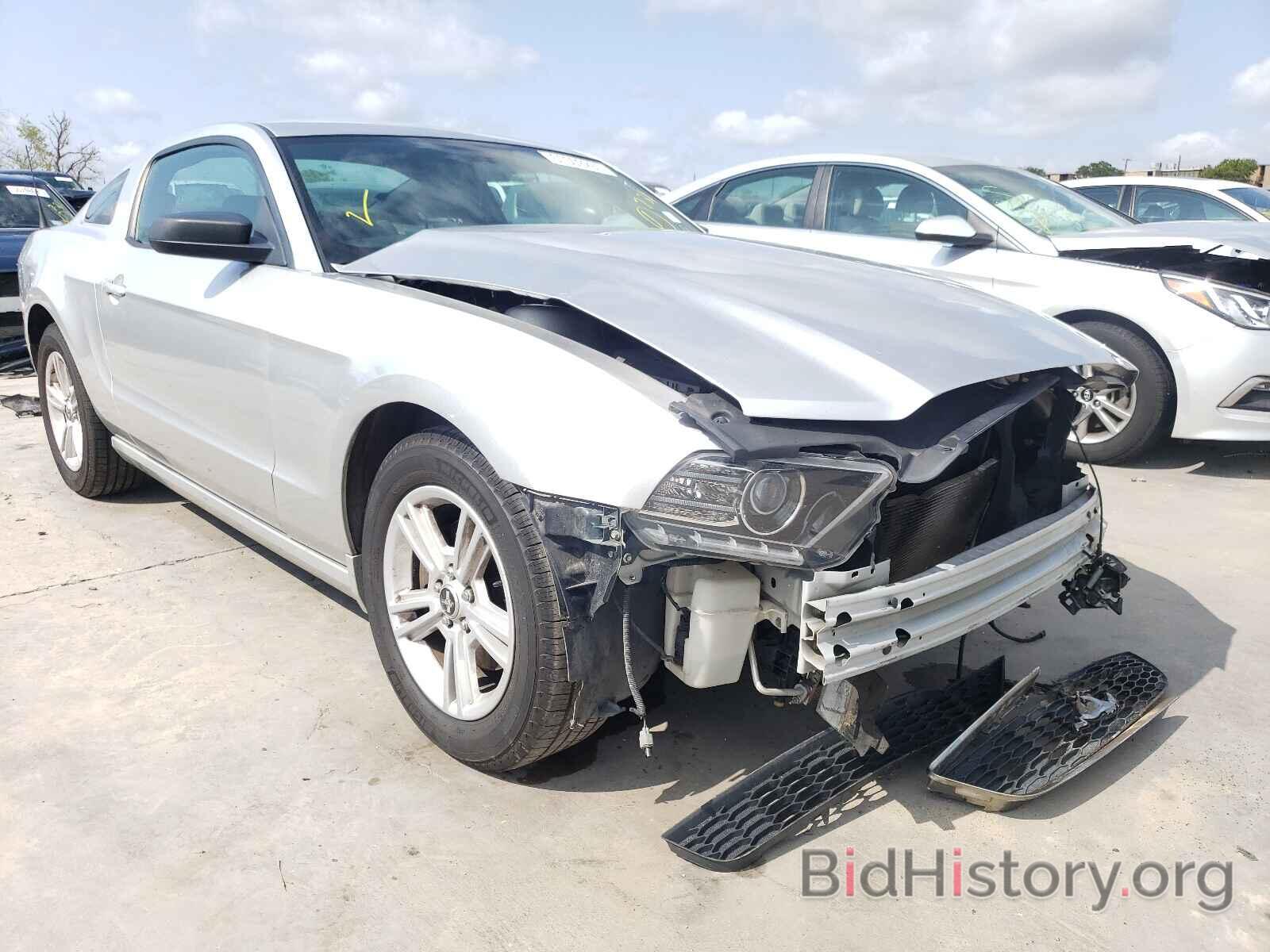 Photo 1ZVBP8AM7E5254400 - FORD MUSTANG 2014