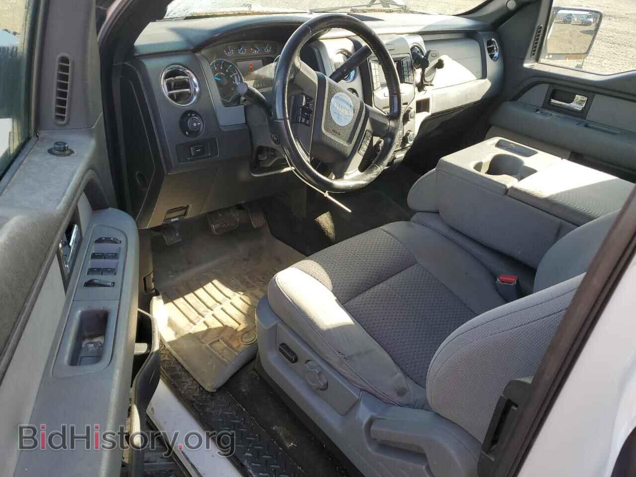 2013 FORD F-150 - VIN: 1FTFX1EF2DFC43336 - Фото 8