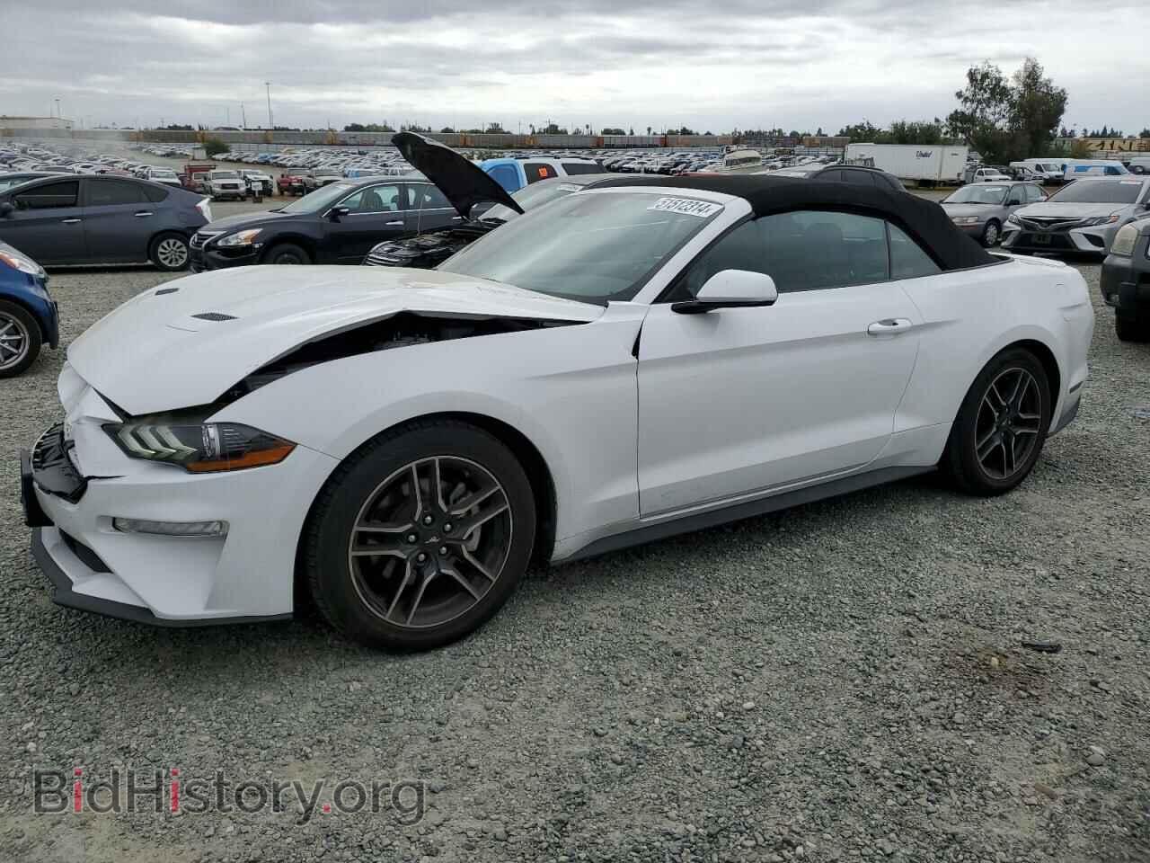 Photo 1FATP8UH6M5121542 - FORD ALL Models 2021