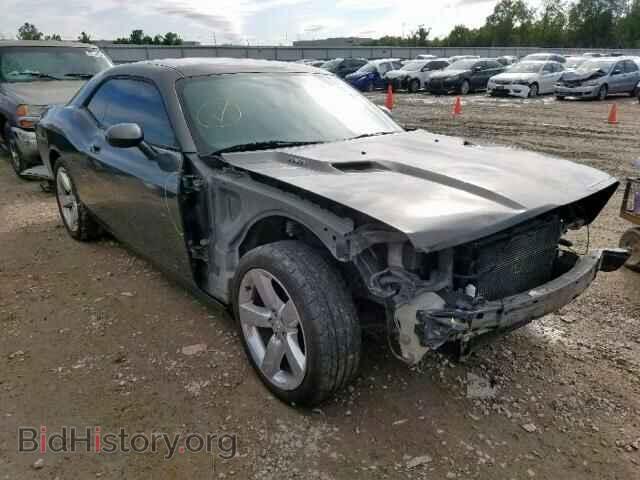 Photo 2B3CJ5DT7AH261250 - DODGE CHALLENGER 2010