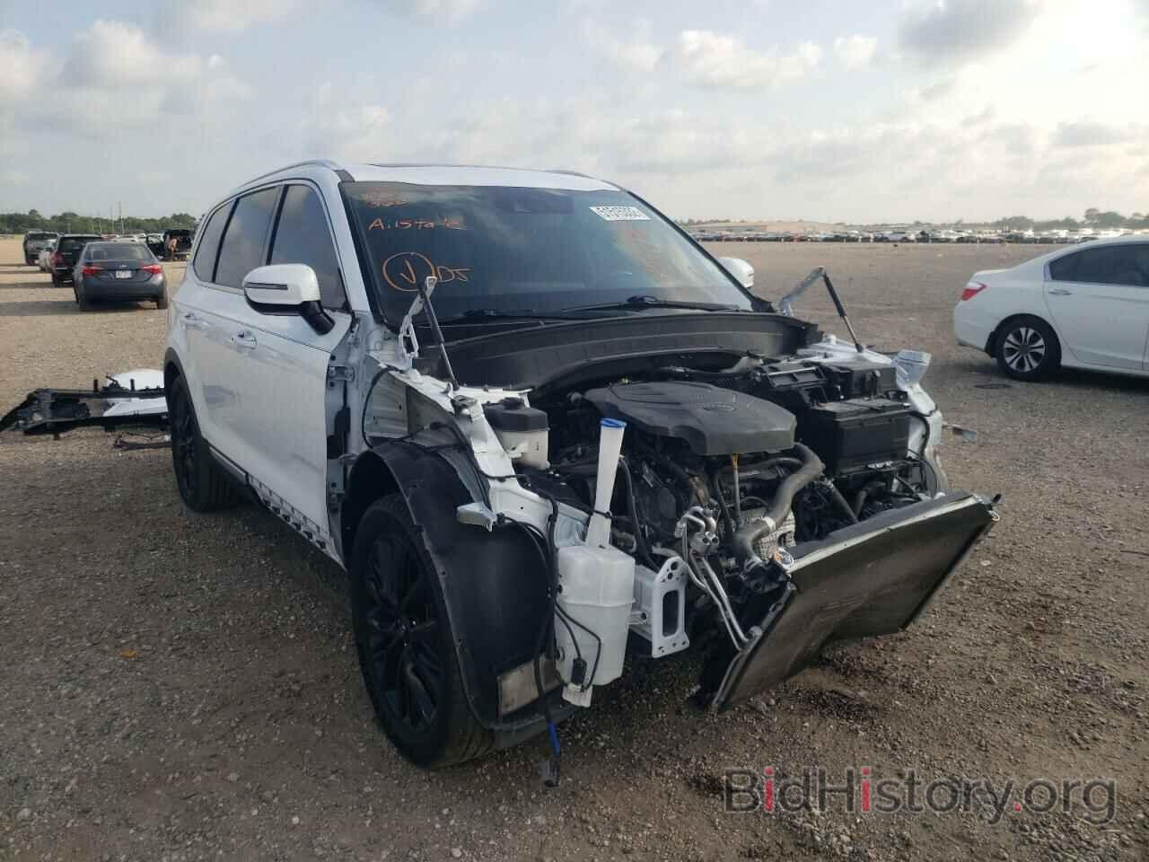 Photo 5XYP5DHC7LG049376 - KIA TELLURIDE 2020