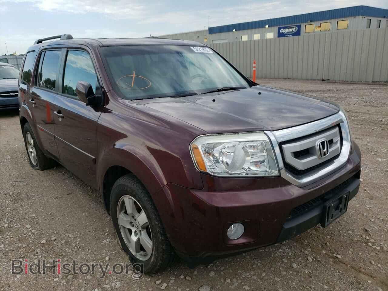 Фотография 5FNYF4H55BB021021 - HONDA PILOT 2011