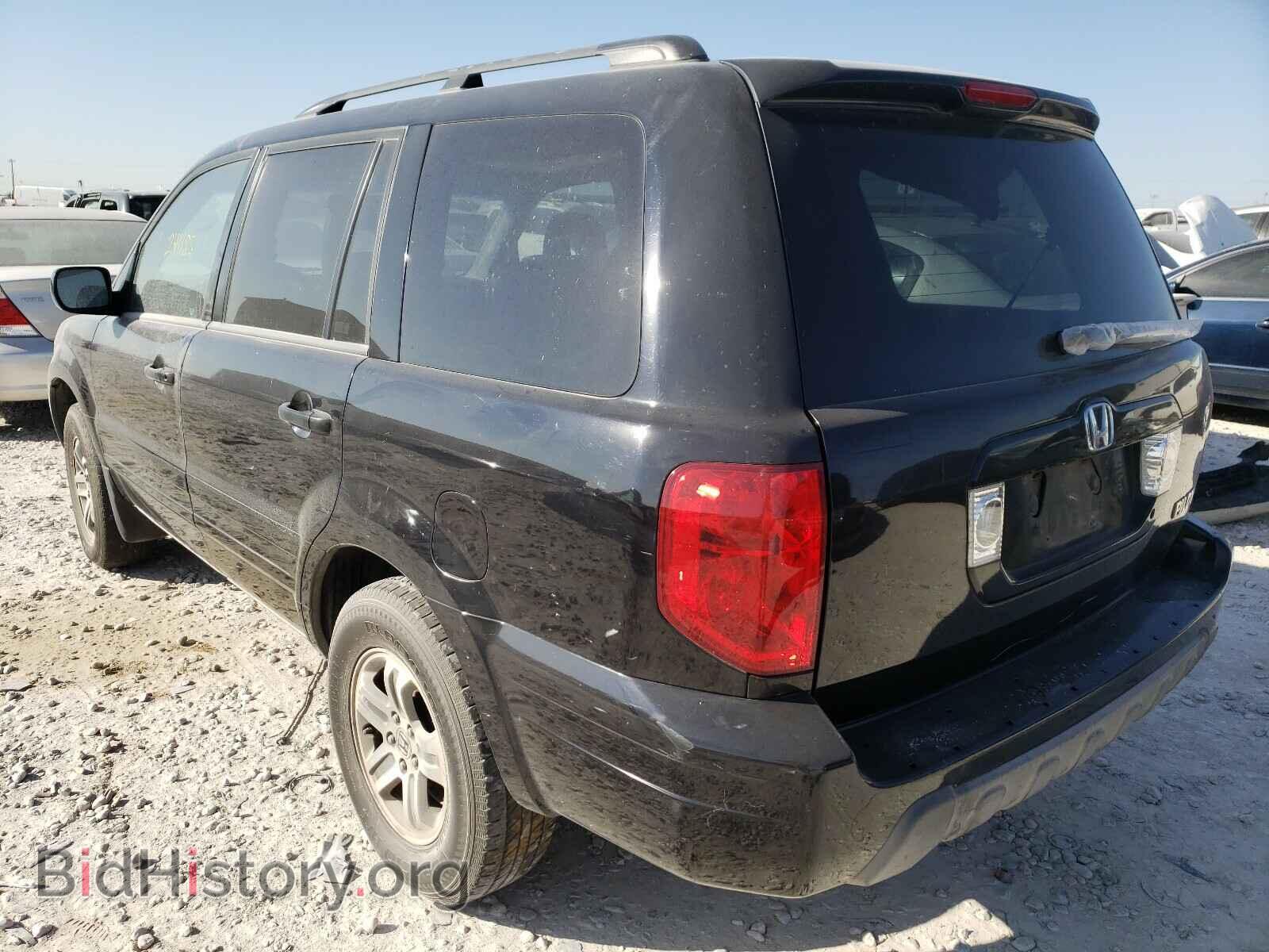 2005 HONDA PILOT - VIN: 5FNYF18515B059462 - Фото 3