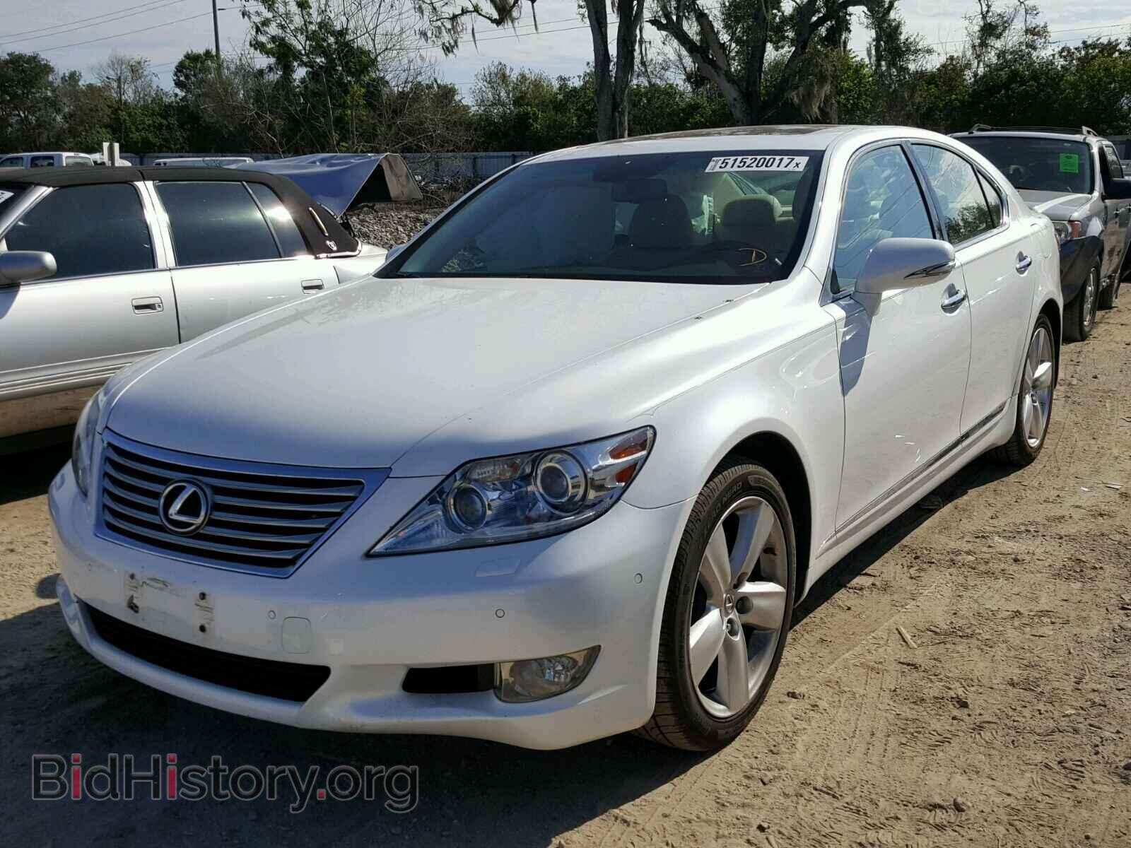 2010 LEXUS LS460 - VIN: JTHBL5EF4A5099323 - Фото 2