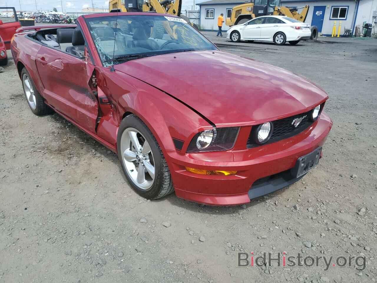 Photo 1ZVHT85H685205339 - FORD MUSTANG 2008