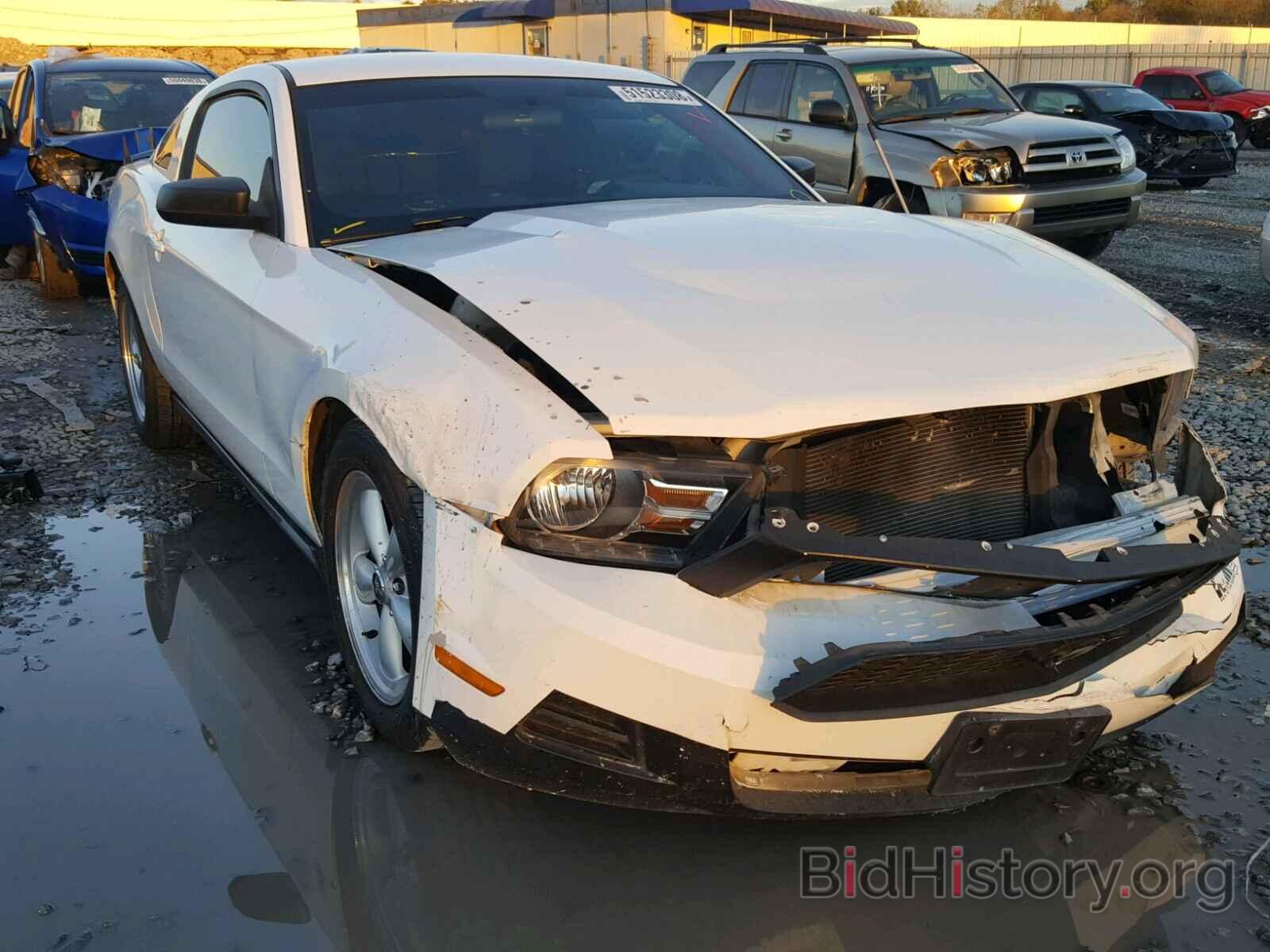 Photo 1ZVBP8AM2C5234603 - FORD MUSTANG 2012