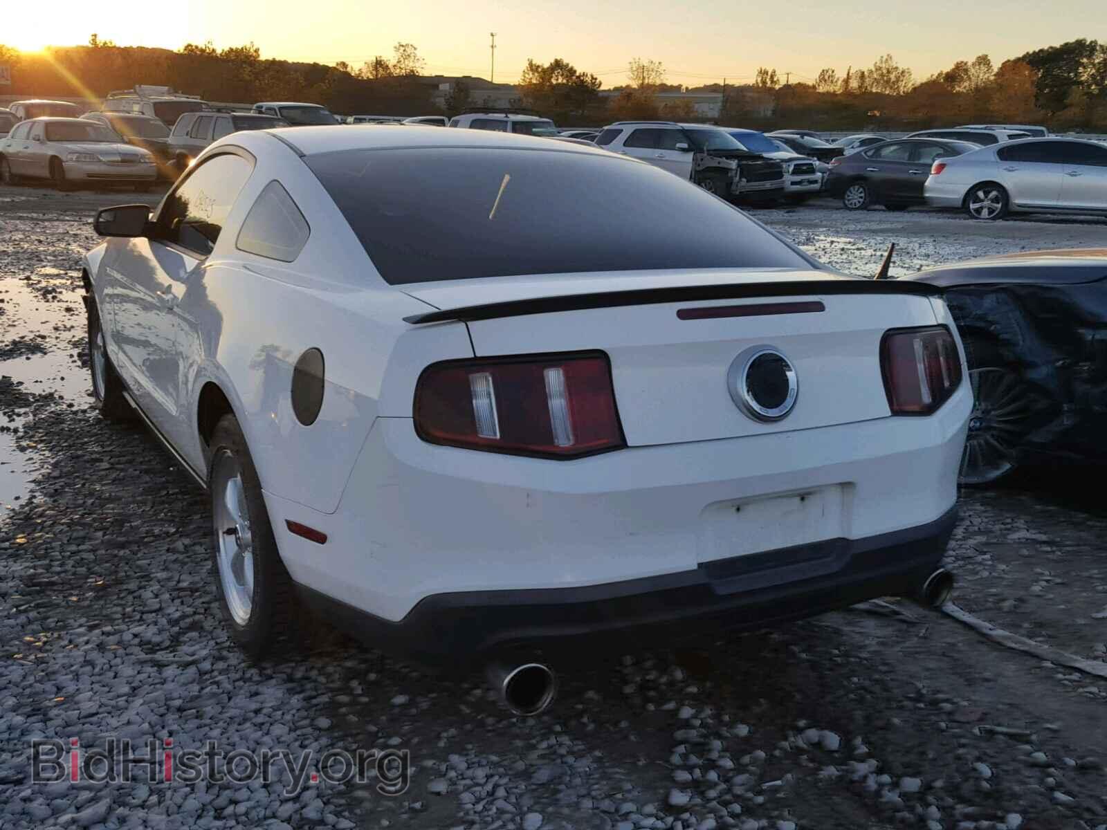 2012 FORD MUSTANG - VIN: 1ZVBP8AM2C5234603 - Фото 3