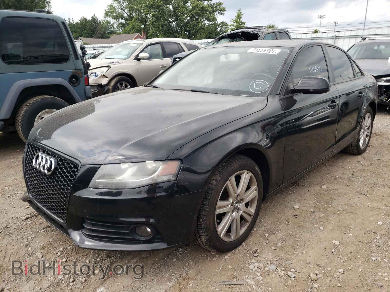 2010 AUDI A4 - VIN: WAUBFAFL8AN064089 - Фото 2