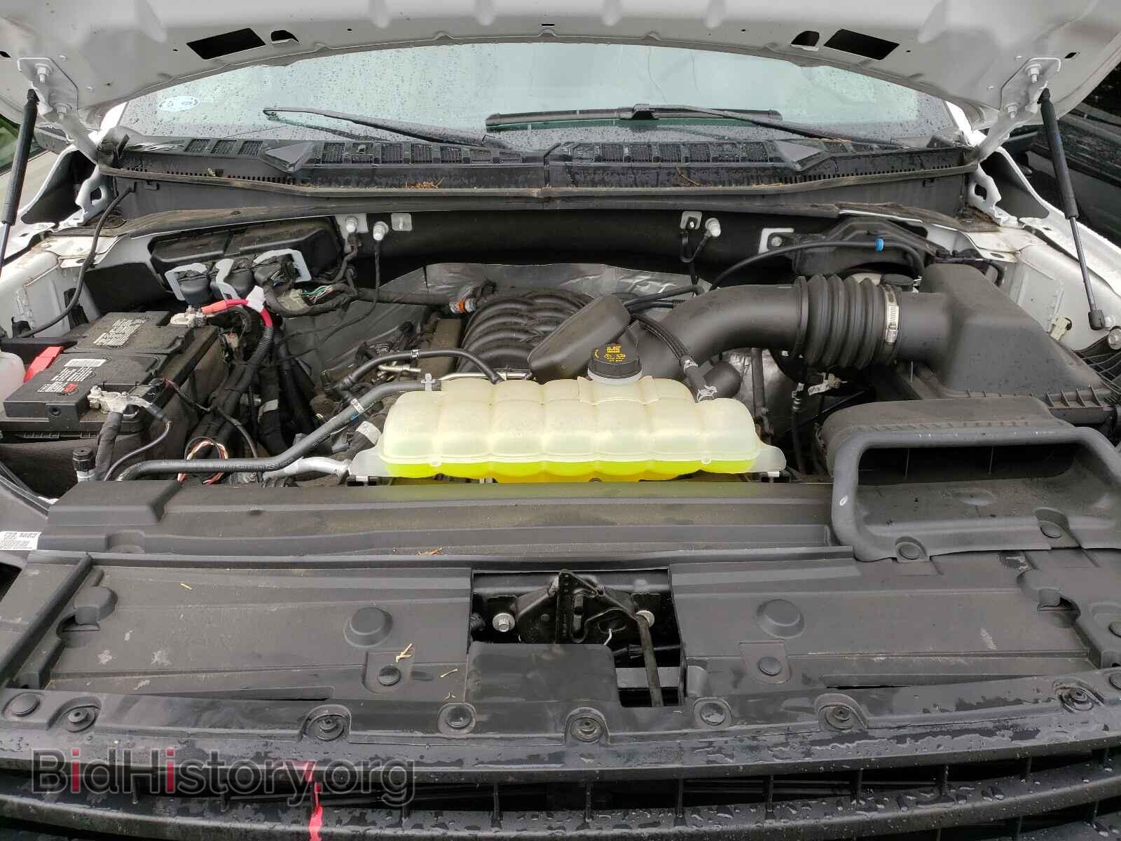 2019 FORD F150 - VIN: 1FTMF1E54KKD67453 - Фото 7