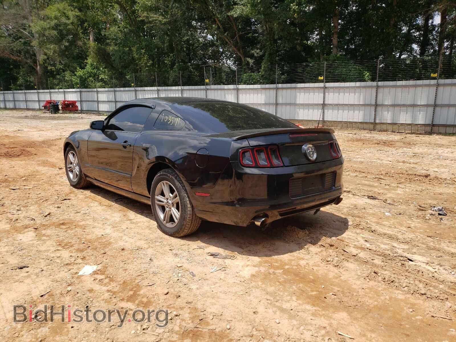 2014 FORD MUSTANG - VIN: 1ZVBP8AM8E5209563 - Фото 3