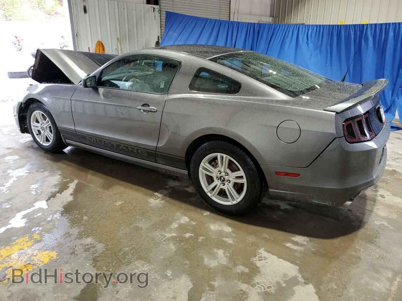 2014 FORD ALL Models - VIN: 1ZVBP8AM3E5307030 - Фото 2