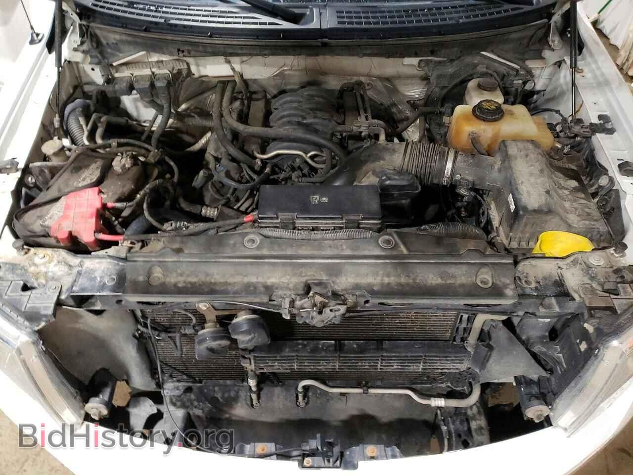 2013 FORD F150 - VIN: 1FTFW1EF2DFD70025 - Фото 11