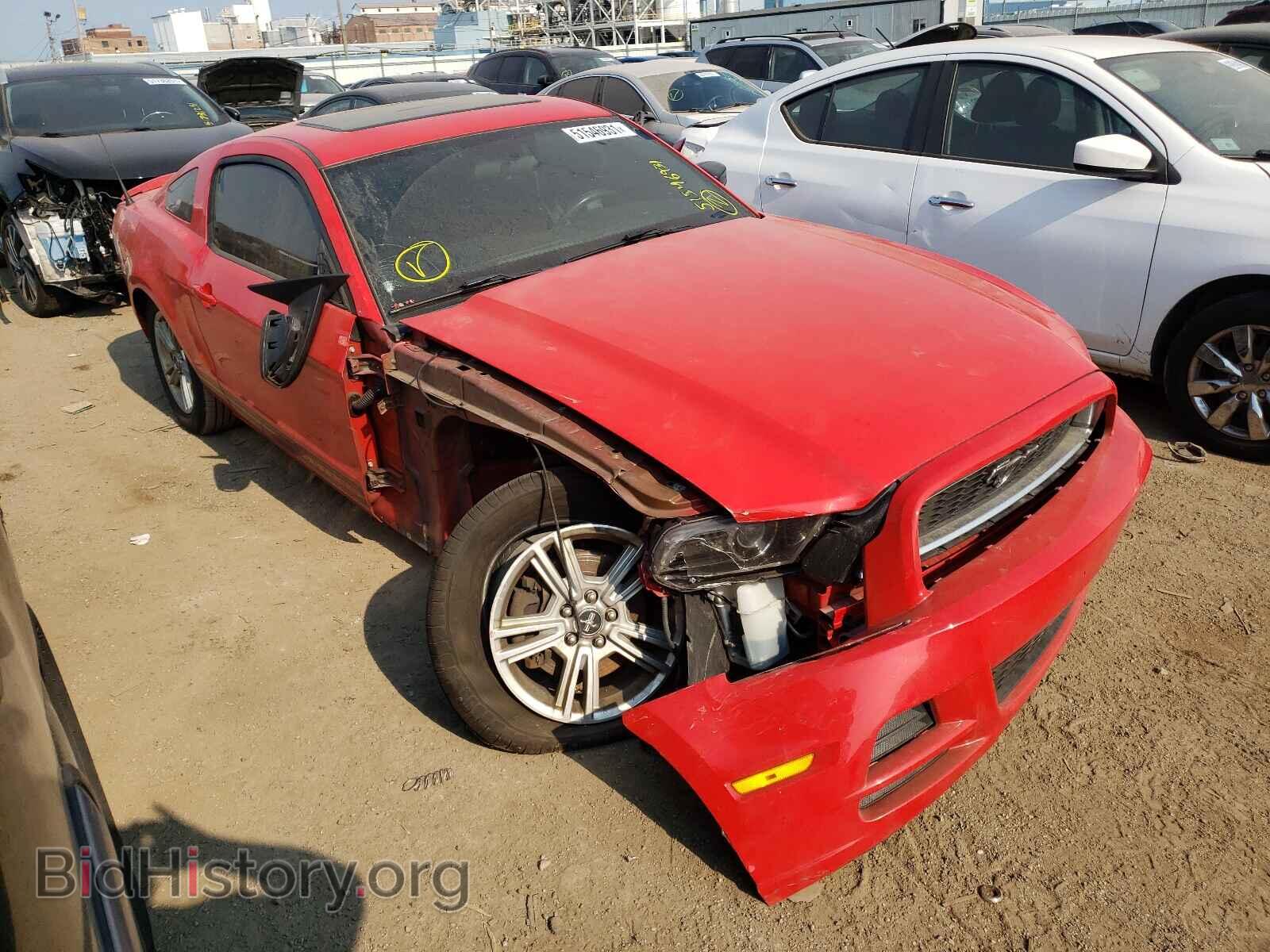 Фотография 1ZVBP8AM5D5258699 - FORD MUSTANG 2013